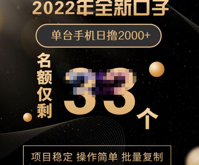 2022年全新口子，手机批量搬砖玩法，一部手机日撸2000+-梓川副业网-中创网、冒泡论坛优质付费教程和副业创业项目大全