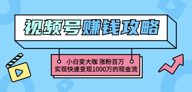 玩转微信视频号赚钱：小白变大咖涨粉百万实现快速变现1000万的现金流-梓川副业网-中创网、冒泡论坛优质付费教程和副业创业项目大全