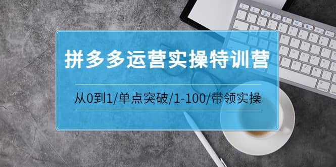 拼多多运营实操特训营：从0到1/单点突破/1-100/带领实操 价值2980元-梓川副业网-中创网、冒泡论坛优质付费教程和副业创业项目大全