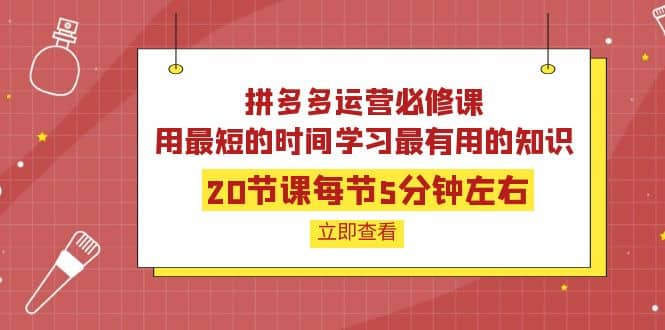 拼多多运营必修课：20节课每节5分钟左右，用最短的时间学习最有用的知识-梓川副业网-中创网、冒泡论坛优质付费教程和副业创业项目大全