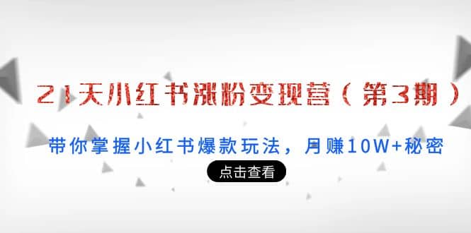 21天小红书涨粉变现营（第3期）：带你掌握小红书爆款玩法，月赚10W+秘密-梓川副业网-中创网、冒泡论坛优质付费教程和副业创业项目大全