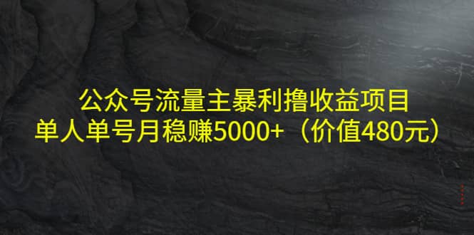 公众号流量主暴利撸收益项目，单人单号月稳赚5000+（价值480元）-梓川副业网-中创网、冒泡论坛优质付费教程和副业创业项目大全