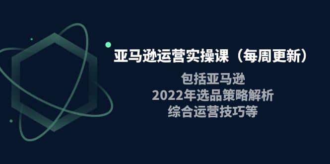 亚马逊运营实操课（每周更新）包括亚马逊2022选品策略解析，综合运营技巧等-梓川副业网-中创网、冒泡论坛优质付费教程和副业创业项目大全