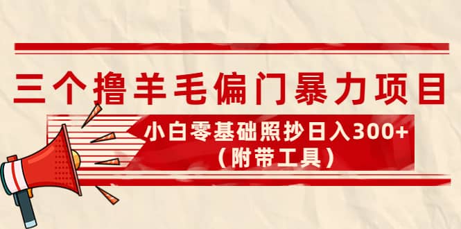 外面卖998的三个撸羊毛项目，小白零基础照抄（附带工具）-梓川副业网-中创网、冒泡论坛优质付费教程和副业创业项目大全