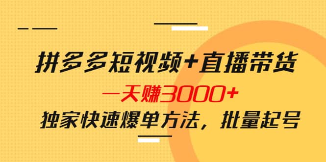 拼多多短视频+直播带货，一天赚3000+独家快速爆单方法，批量起号-梓川副业网-中创网、冒泡论坛优质付费教程和副业创业项目大全