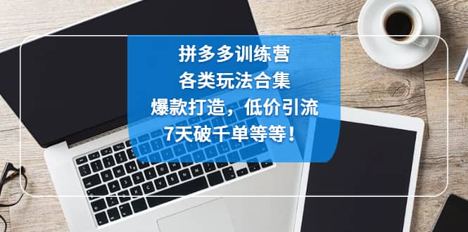 拼多多训练营：各玩法合集，爆款打造，低价引流，7天破千单等等-梓川副业网-中创网、冒泡论坛优质付费教程和副业创业项目大全