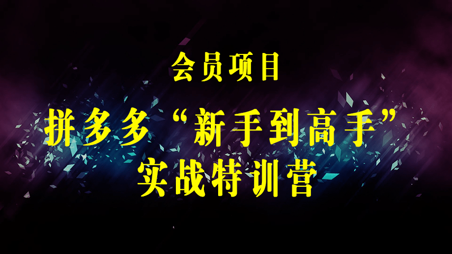 拼多多“新手到高手”实战特训营：带你全方位玩转拼多多！-梓川副业网-中创网、冒泡论坛优质付费教程和副业创业项目大全