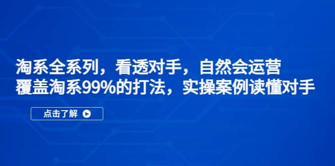 淘系全系列，看透对手，自然会运营，覆盖淘系99%·打法，实操案例读懂对手-梓川副业网-中创网、冒泡论坛优质付费教程和副业创业项目大全