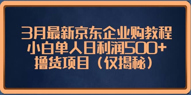 3月最新京东企业购教程，小白单人日利润500+撸货项目（仅揭秘）-梓川副业网-中创网、冒泡论坛优质付费教程和副业创业项目大全