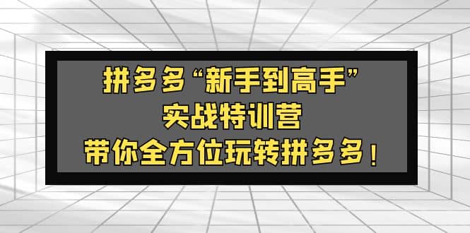 拼多多“新手到高手”实战特训营：带你全方位玩转拼多多-梓川副业网-中创网、冒泡论坛优质付费教程和副业创业项目大全