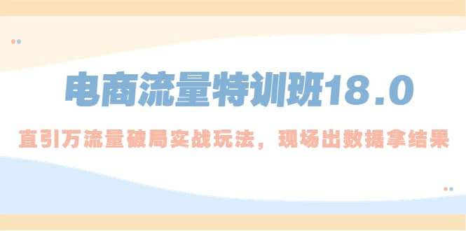 电商流量特训班18.0，直引万流量破局实操玩法，现场出数据拿结果-梓川副业网-中创网、冒泡论坛优质付费教程和副业创业项目大全