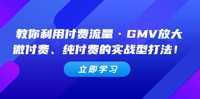 教你利用付费流量·GMV放大，微付费、纯付费的实战型打法-梓川副业网-中创网、冒泡论坛优质付费教程和副业创业项目大全