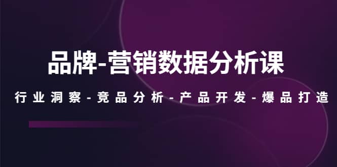 品牌-营销数据分析课，行业洞察-竞品分析-产品开发-爆品打造-梓川副业网-中创网、冒泡论坛优质付费教程和副业创业项目大全