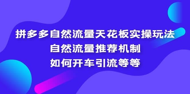 拼多多自然流量天花板实操玩法：自然流量推荐机制，如何开车引流等等-梓川副业网-中创网、冒泡论坛优质付费教程和副业创业项目大全