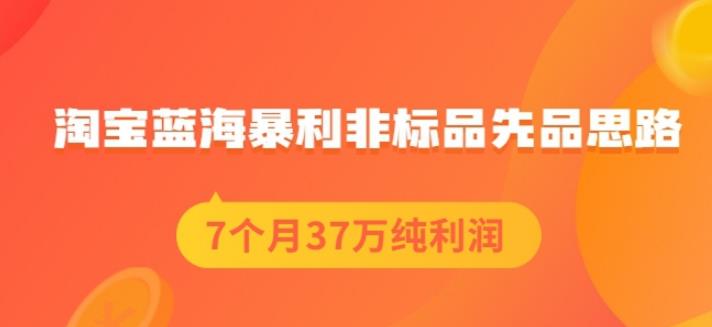 盗坤淘宝蓝海暴利非标品先品思路，7个月37万纯利润，压箱干货分享！【付费文章】-梓川副业网-中创网、冒泡论坛优质付费教程和副业创业项目大全