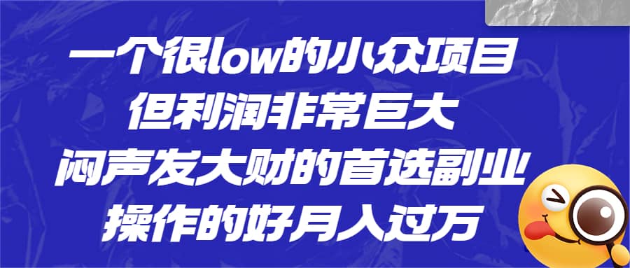 一个很low的小众项目，但利润非常巨大，闷声发大财的首选副业，月入过万-梓川副业网-中创网、冒泡论坛优质付费教程和副业创业项目大全