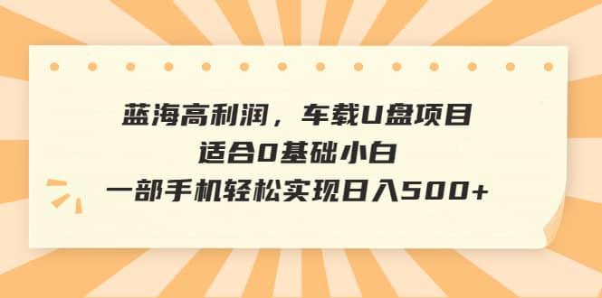 蓝海高利润，车载U盘项目，适合0基础小白，一部手机轻松实现日入500-梓川副业网-中创网、冒泡论坛优质付费教程和副业创业项目大全