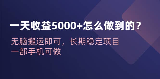 一天收益5000 怎么做到的？无脑搬运即可，长期稳定项目，一部手机可做-梓川副业网-中创网、冒泡论坛优质付费教程和副业创业项目大全