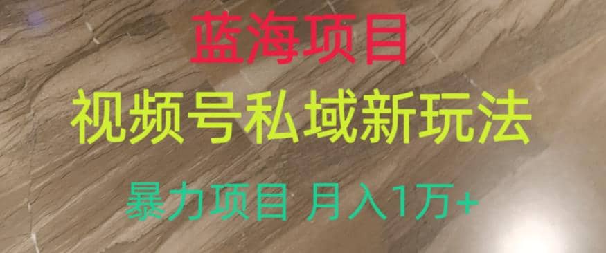 蓝海项目，视频号私域新玩法，暴力项目月入1万 【揭秘】-梓川副业网-中创网、冒泡论坛优质付费教程和副业创业项目大全