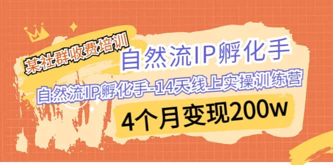 某社群收费培训：自然流IP 孵化手-14天线上实操训练营 4个月变现200w-梓川副业网-中创网、冒泡论坛优质付费教程和副业创业项目大全