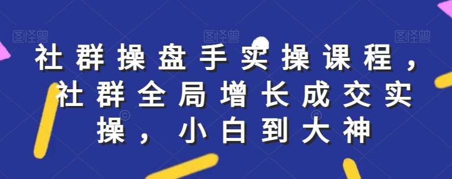 社群实操课程，社群全局增长成交实操，小白到大神-梓川副业网-中创网、冒泡论坛优质付费教程和副业创业项目大全