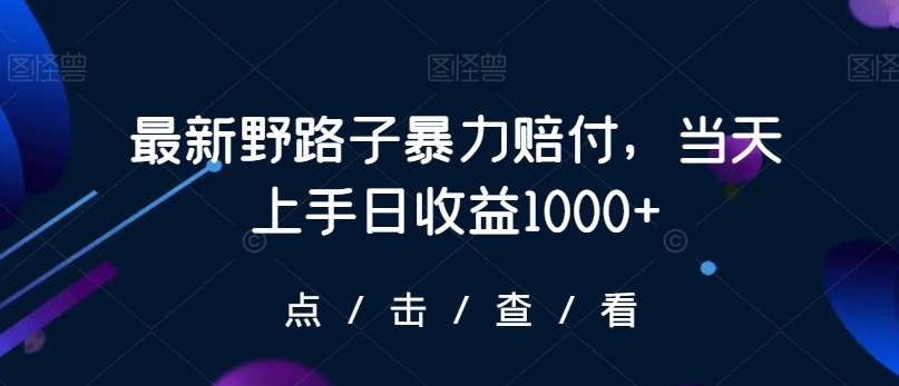 最新野路子暴力赔付，当天上手日收益1000+【仅揭秘】-梓川副业网-中创网、冒泡论坛优质付费教程和副业创业项目大全