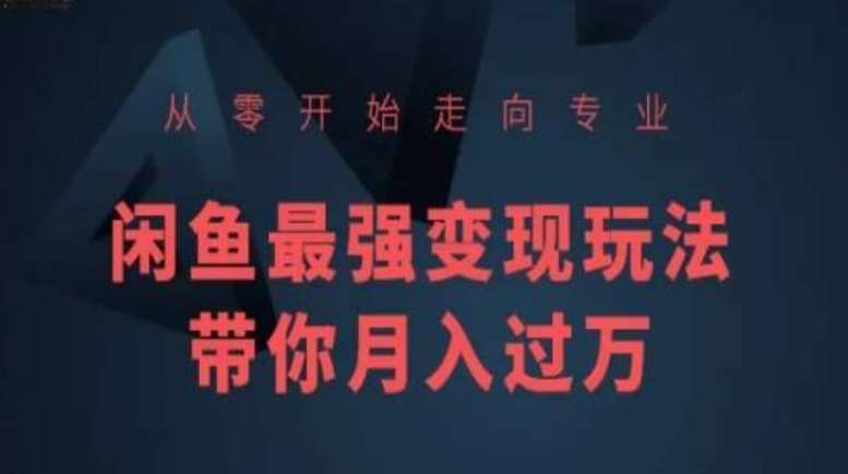 从零开始走向专业，闲鱼最强变现玩法带你月入过万-梓川副业网-中创网、冒泡论坛优质付费教程和副业创业项目大全