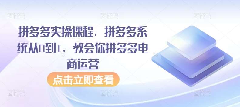 拼多多实操课程，拼多多系统从0到1，教会你拼多多电商运营-梓川副业网-中创网、冒泡论坛优质付费教程和副业创业项目大全