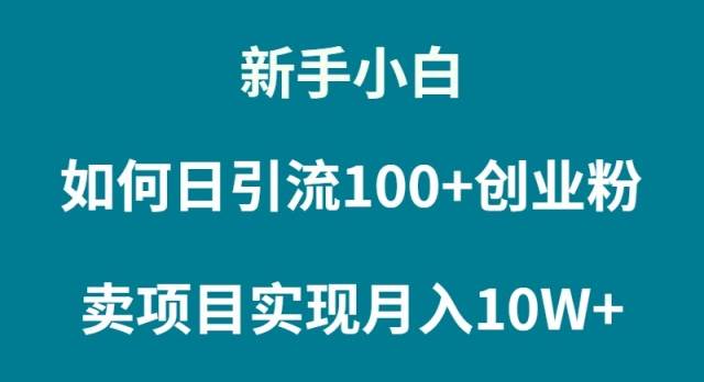 （9556期）新手小白如何通过卖项目实现月入10W+-梓川副业网-中创网、冒泡论坛优质付费教程和副业创业项目大全