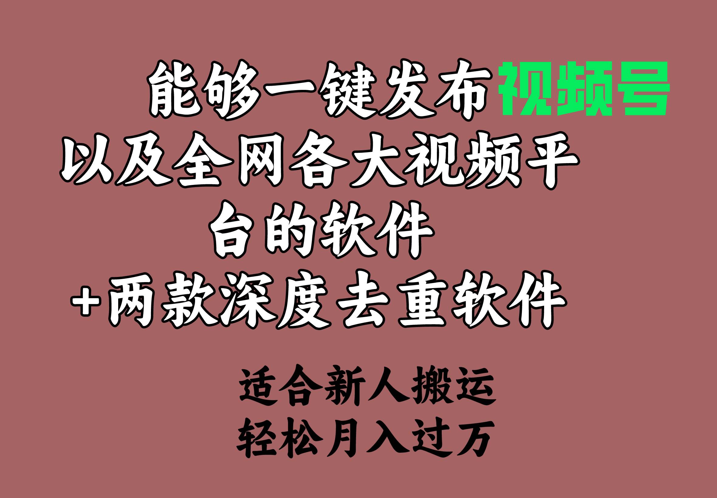 （9319期）能够一键发布视频号以及全网各大视频平台的软件+两款深度去重软件 适合…-梓川副业网-中创网、冒泡论坛优质付费教程和副业创业项目大全