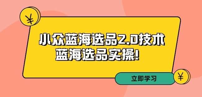 拼多多培训第33期：小众蓝海选品2.0技术-蓝海选品实操！-梓川副业网-中创网、冒泡论坛优质付费教程和副业创业项目大全