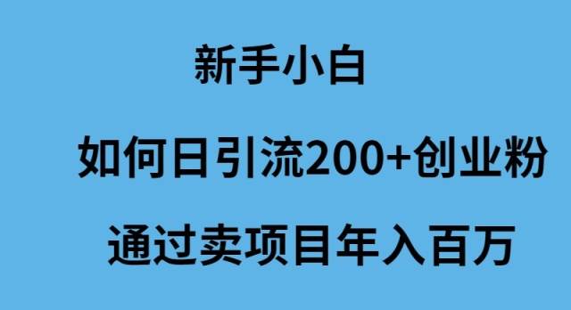 （9668期）新手小白如何日引流200+创业粉通过卖项目年入百万-梓川副业网-中创网、冒泡论坛优质付费教程和副业创业项目大全