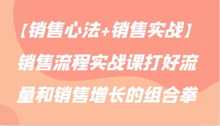 【销售心法+销售实战】销售流程实战课打好流量和销售增长的组合拳-梓川副业网-中创网、冒泡论坛优质付费教程和副业创业项目大全