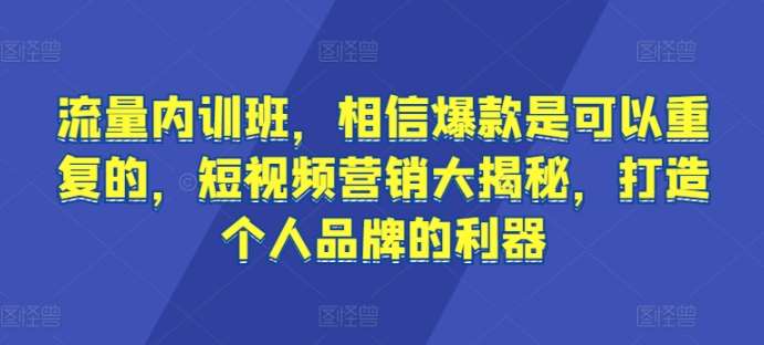 流量内训班，相信爆款是可以重复的，短视频营销大揭秘，打造个人品牌的利器-梓川副业网-中创网、冒泡论坛优质付费教程和副业创业项目大全