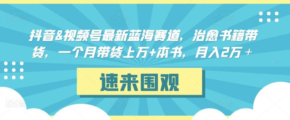 抖音&视频号最新蓝海赛道，治愈书籍带货，一个月带货上万+本书，月入2万＋【揭秘】-梓川副业网-中创网、冒泡论坛优质付费教程和副业创业项目大全