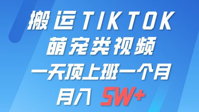 一键搬运TIKTOK萌宠类视频 一部手机即可操作 所有平台均可发布 轻松月入5W+-梓川副业网-中创网、冒泡论坛优质付费教程和副业创业项目大全