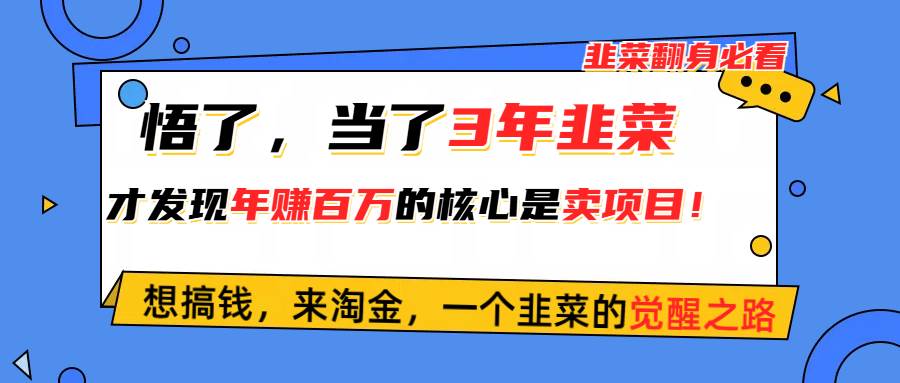 悟了，当了3年韭菜，才发现网赚圈年赚100万的核心是卖项目，含泪分享！-梓川副业网-中创网、冒泡论坛优质付费教程和副业创业项目大全