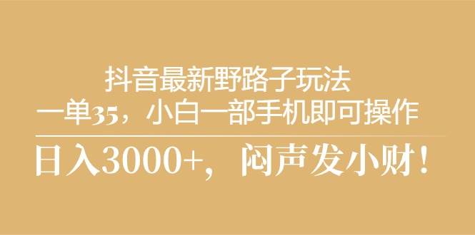 抖音最新野路子玩法，一单35，小白一部手机即可操作，，日入3000+，闷…-梓川副业网-中创网、冒泡论坛优质付费教程和副业创业项目大全