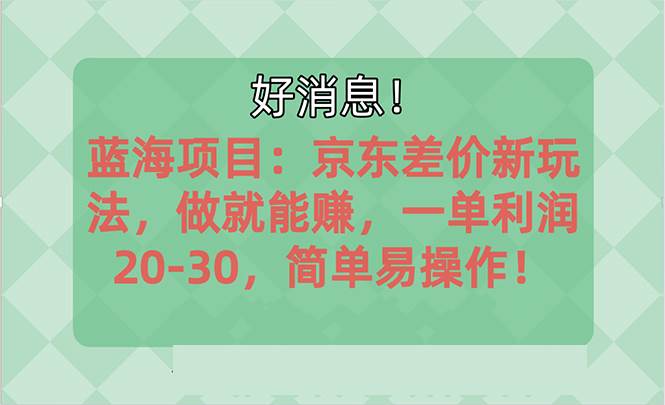 越早知道越能赚到钱的蓝海项目：京东大平台操作，一单利润20-30，简单…-梓川副业网-中创网、冒泡论坛优质付费教程和副业创业项目大全