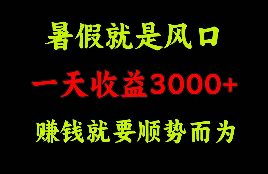 一天收益3000+ 赚钱就是顺势而为，暑假就是风口-梓川副业网-中创网、冒泡论坛优质付费教程和副业创业项目大全