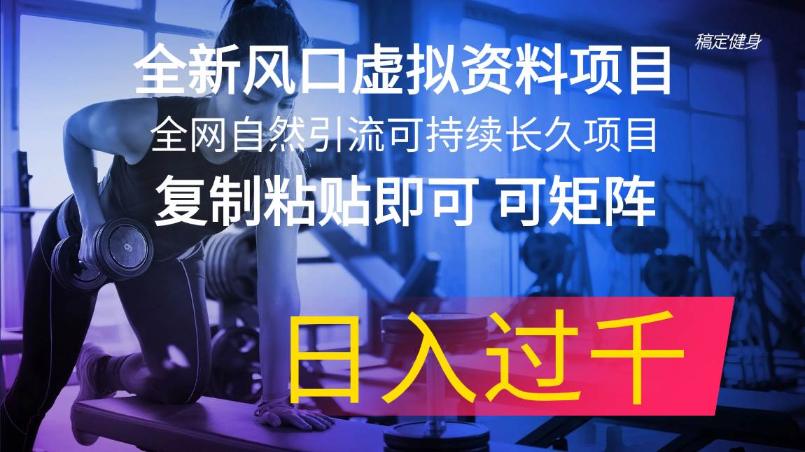 全新风口虚拟资料项目 全网自然引流可持续长久项目 复制粘贴即可可矩阵…-梓川副业网-中创网、冒泡论坛优质付费教程和副业创业项目大全