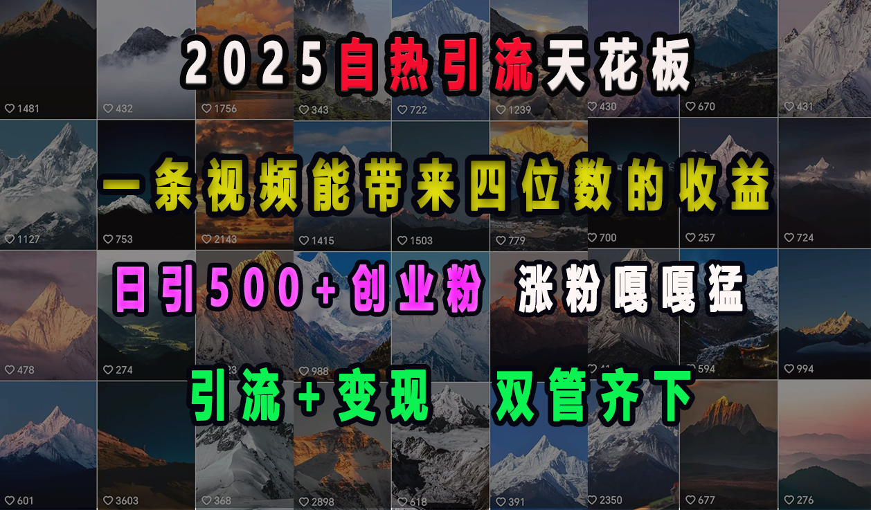 2025自热引流天花板，一条视频能带来四位数的收益，引流+变现双管齐下，日引500+创业粉，涨粉嘎嘎猛-梓川副业网-中创网、冒泡论坛优质付费教程和副业创业项目大全