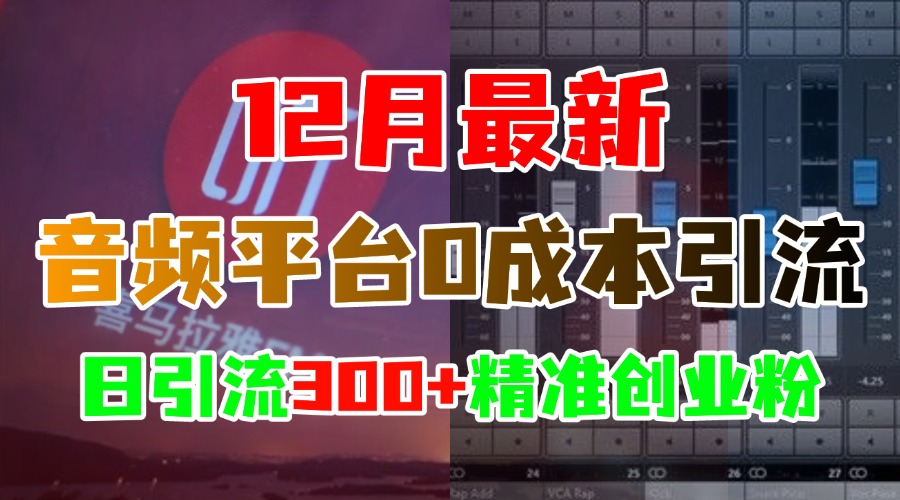 12月最新：音频平台0成本引流，日引300+精准创业粉-梓川副业网-中创网、冒泡论坛优质付费教程和副业创业项目大全