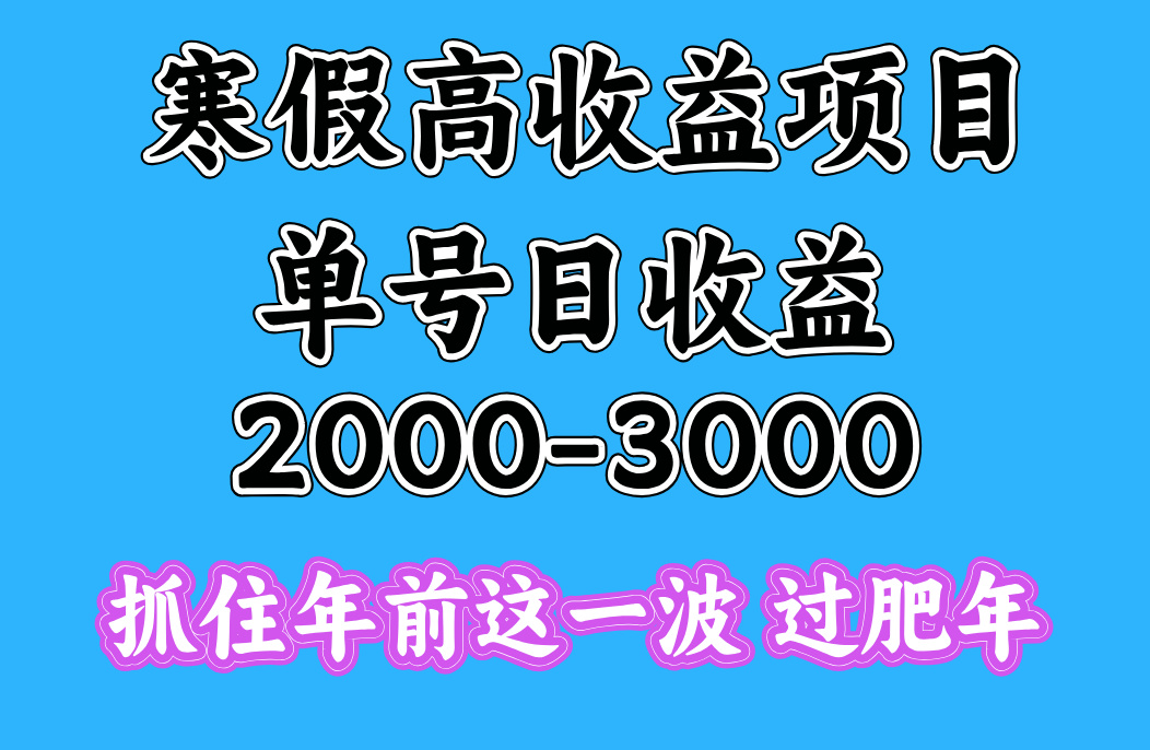 寒假期间一天收益2000-3000+，抓住年前这一波-梓川副业网-中创网、冒泡论坛优质付费教程和副业创业项目大全