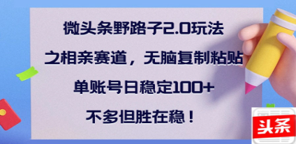 全网首发微头条野路子2.0玩法之相亲赛道，无脑搬砖复制粘贴，单账号日稳定300+保姆级教程-梓川副业网-中创网、冒泡论坛优质付费教程和副业创业项目大全