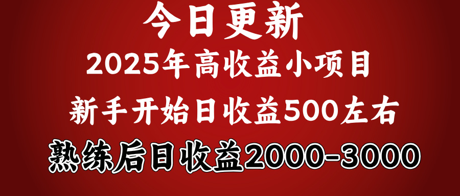 好项目一眼就能看出来，日收益1000，长久可做，2025拼的就是我比你勤奋-梓川副业网-中创网、冒泡论坛优质付费教程和副业创业项目大全